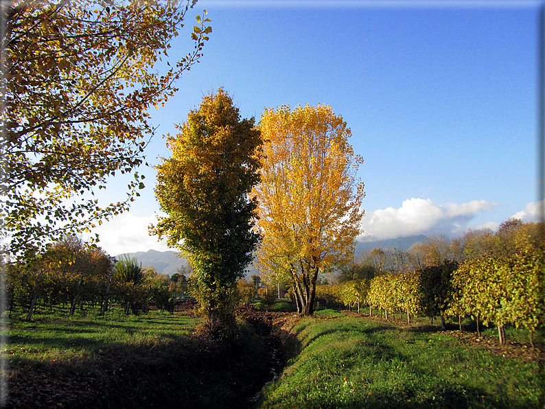 foto Paesaggi Autunnali tra le colline Fontesi